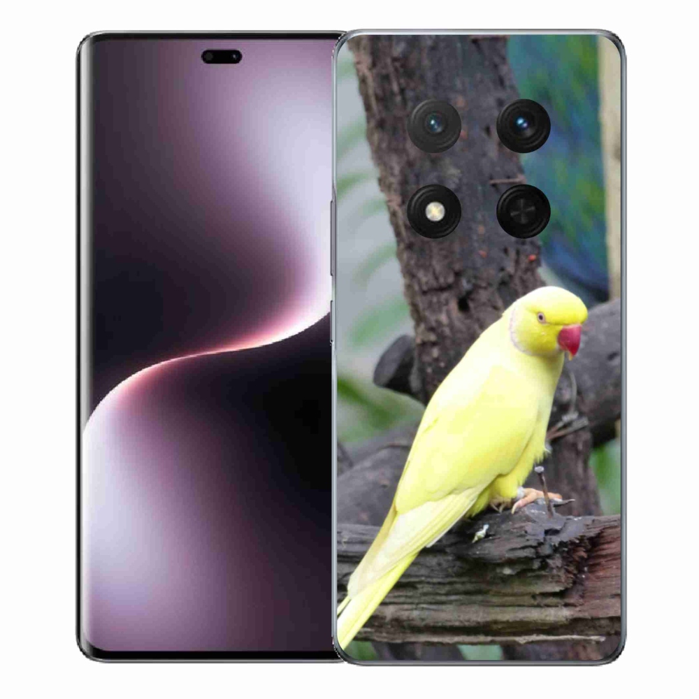 Zselés borítás mmCase a Honor Magic 7 Lite 5G készülékhez - papagáj alexander sárga