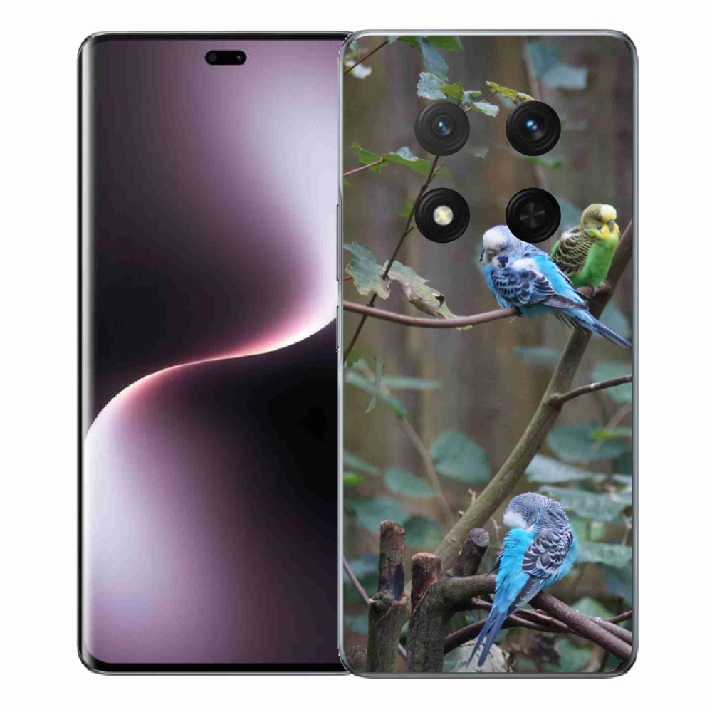 mmCase géltok az Honor Magic 7 Lite-hoz – papagájok az ágon