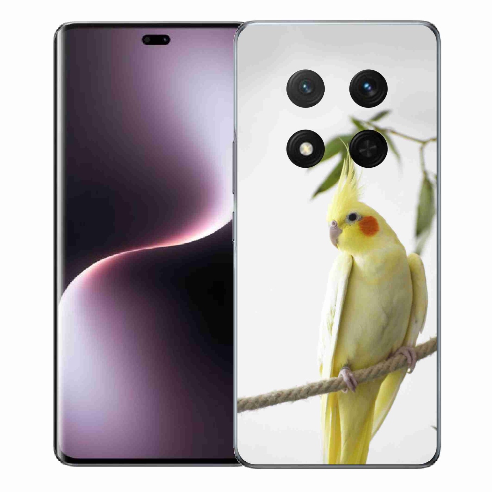 mmCase géltok az Honor Magic 7 Lite-hoz – tollas papagáj