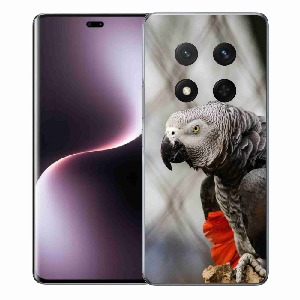 mmCase géltok az Honor Magic 7 Lite-hoz – jakó papagáj 3