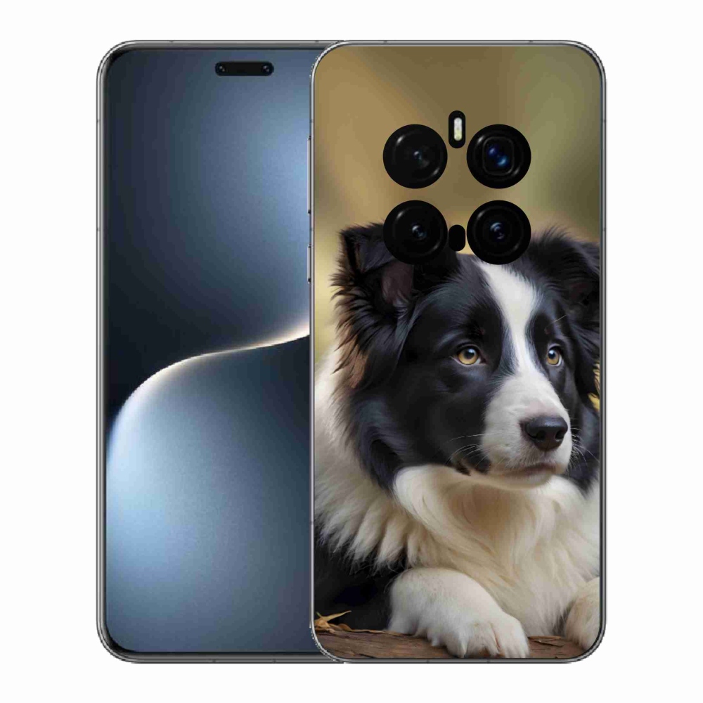 mmCase gél tok az Honor Magic 7 Pro 5G-hez – border collie 2