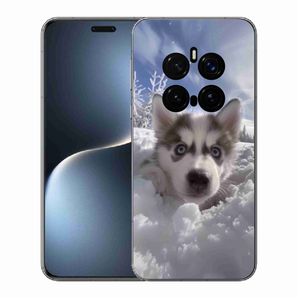 Gél borítás mmCase a Honor Magic 7 Pro 5G számára - husky a hóban