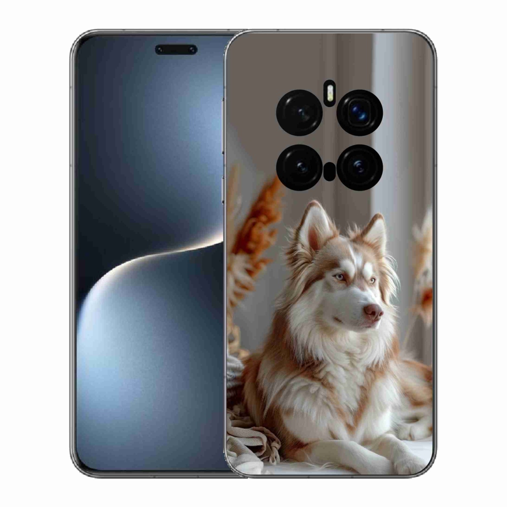 mmCase gél tok az Honor Magic 7 Pro 5G-hez – nyugodt szibériai husky