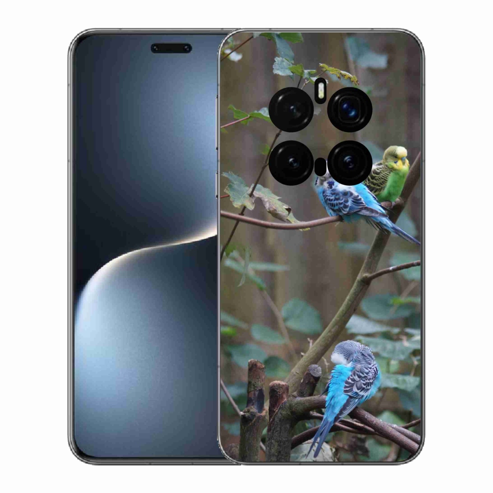 mmCase gél tok az Honor Magic 7 Pro 5G-hez – papagájok egy ágon