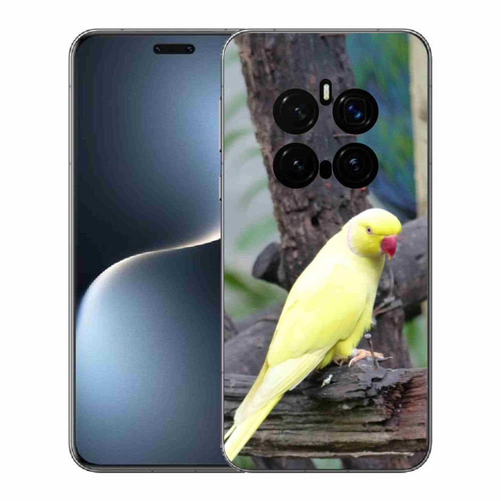 Zselés borítás mmCase a Honor Magic 7 Pro 5G készülékhez - papagáj alexander sárga