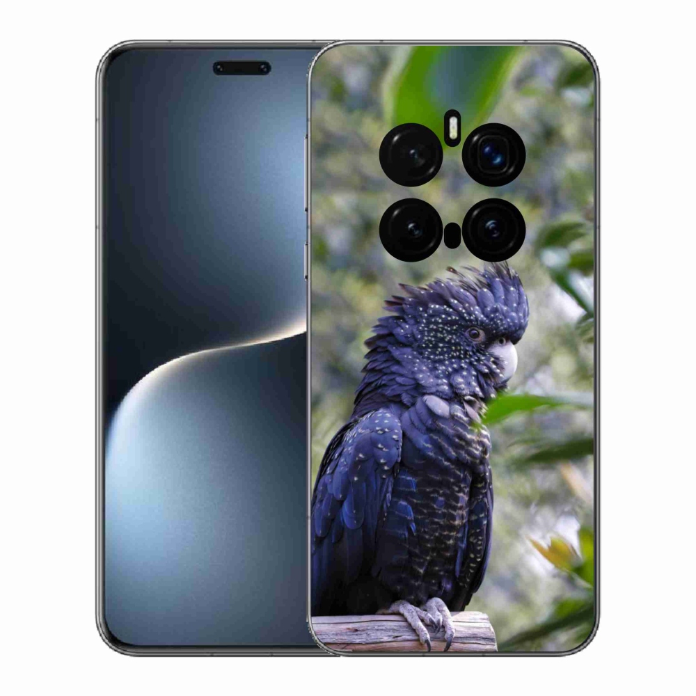 mmCase gél tok az Honor Magic 7 Pro 5G-hez – fekete kakadu papagáj