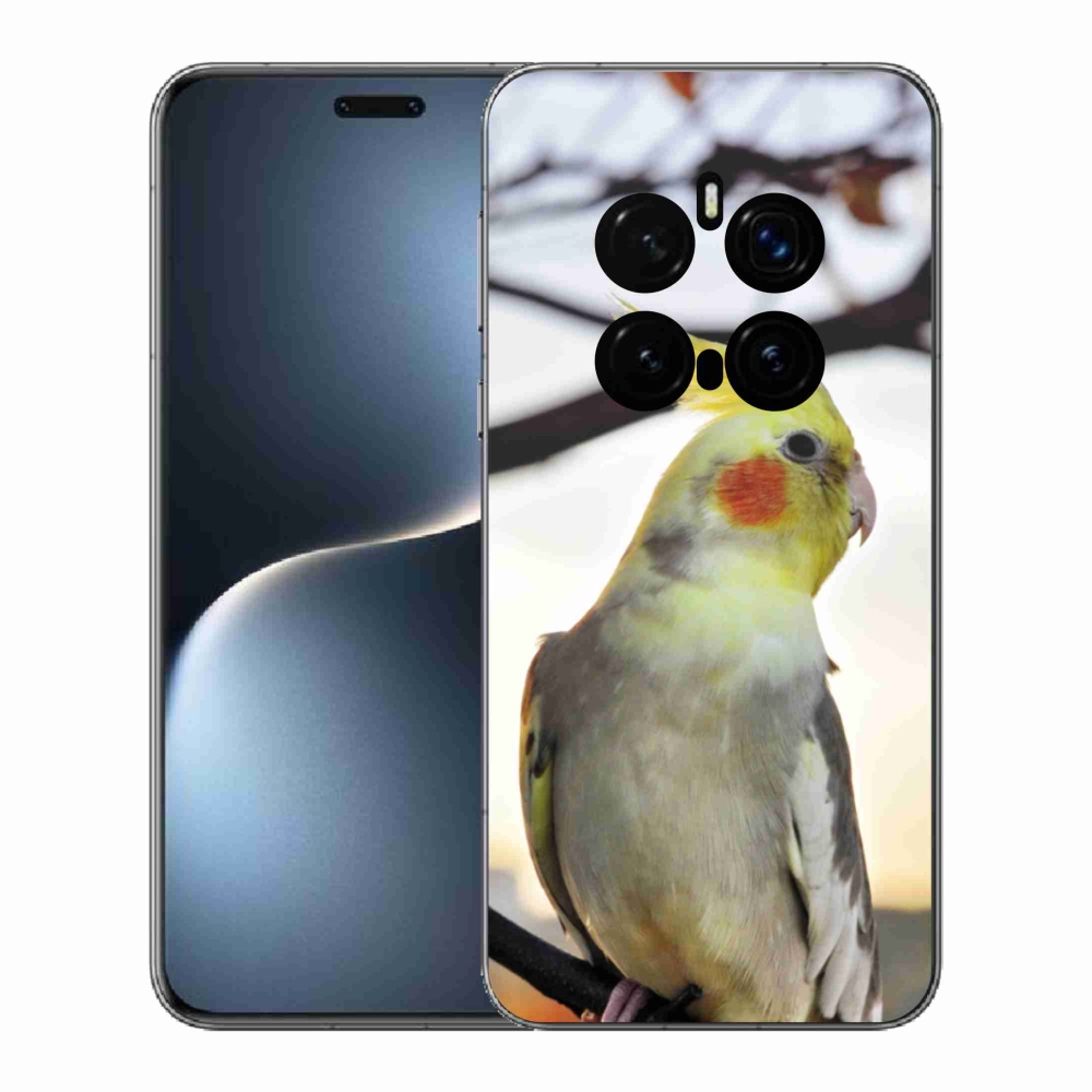 Gél borítás mmCase a Honor Magic 7 Pro 5G készülékhez - papagáj korela