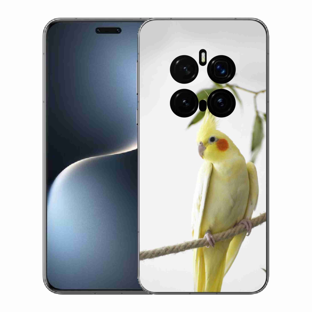 mmCase géltok az Honor Magic 7 Pro 5G-hez – tollas papagáj