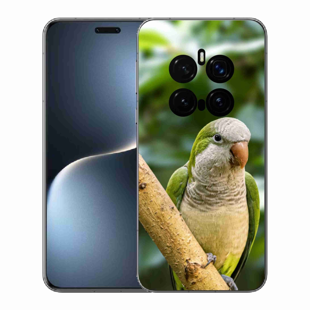 Zselés borítás mmCase a Honor Magic 7 Pro 5G készülékhez - papagáj