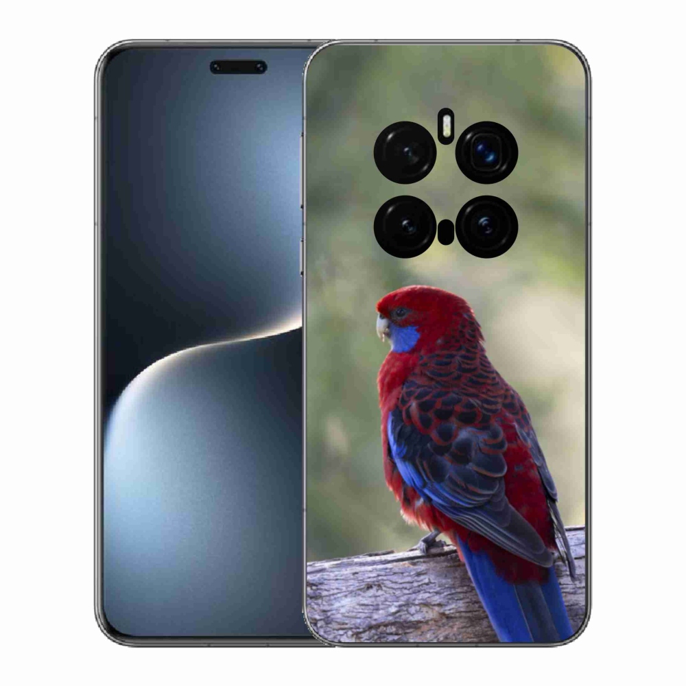 Zselés borítás mmCase a Honor Magic 7 Pro 5G készülékhez - papagáj rosela