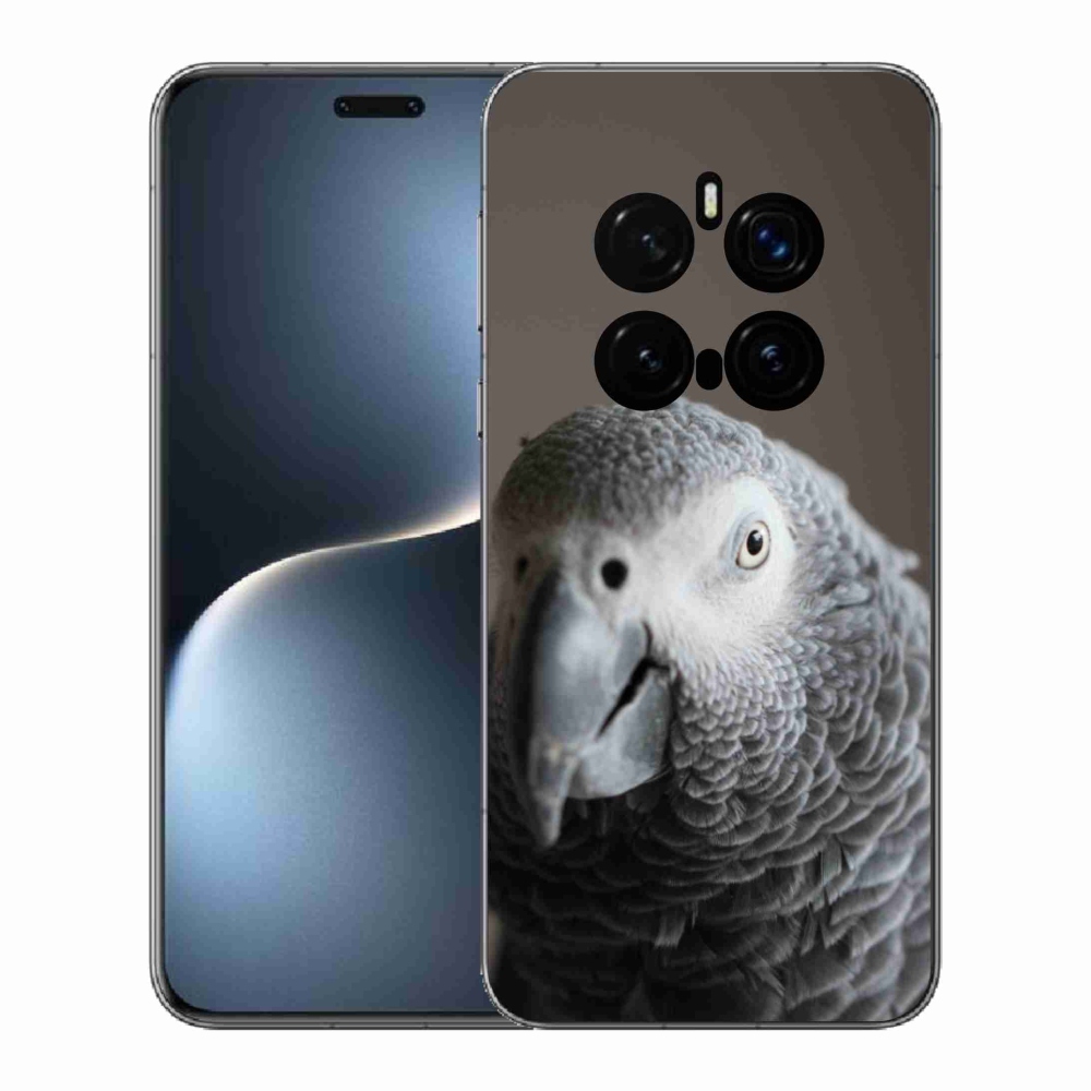 Gél borítás mmCase a Honor Magic 7 Pro 5G készülékhez - papagáj jacco 2