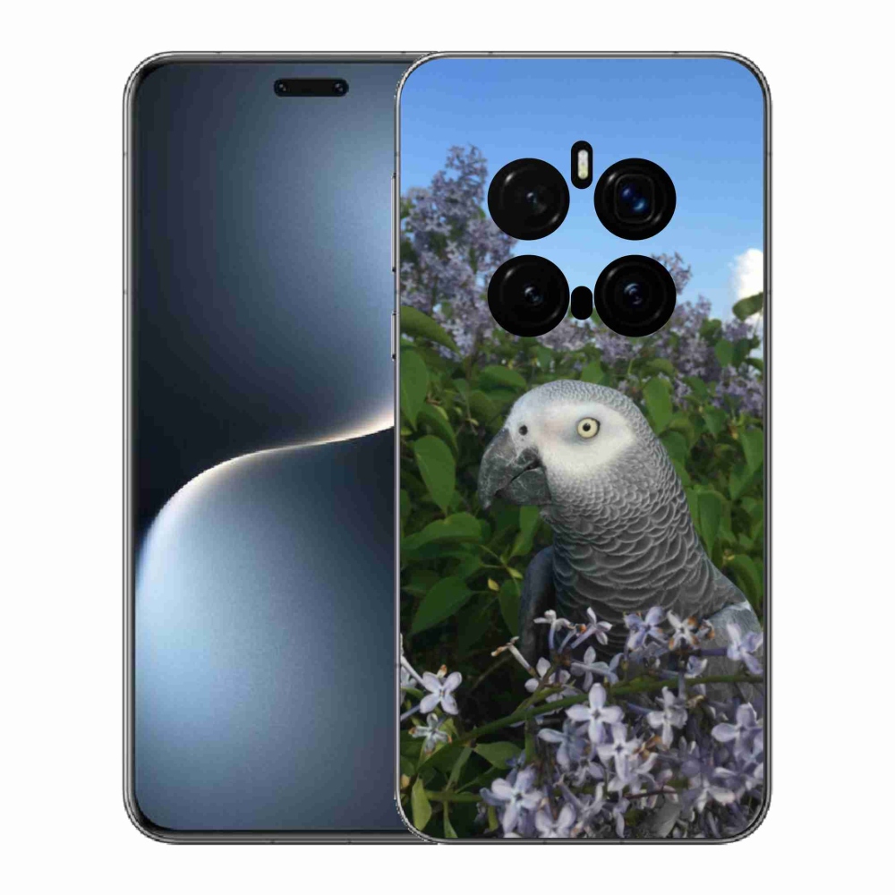 Gél borítás mmCase a Honor Magic 7 Pro 5G készülékhez - papagáj jacco