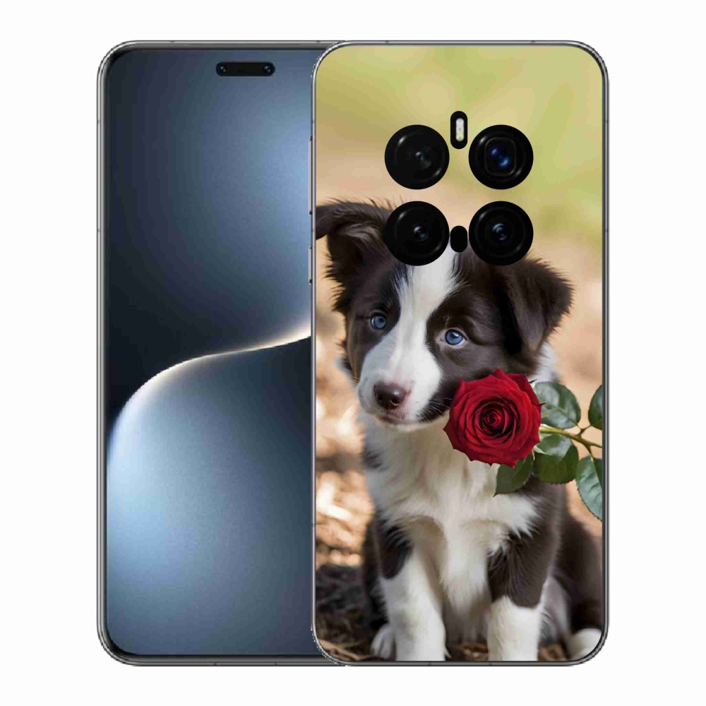 mmCase gél tok az Honor Magic 7 Pro 5G-hez – aranyos border collie rózsával