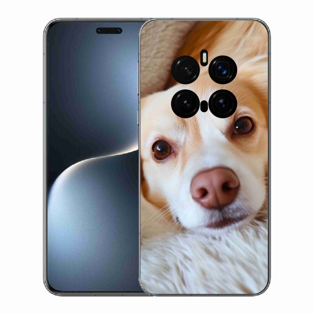 mmCase gél tok az Honor Magic 7 Pro 5G-hez – Aranyos csivava