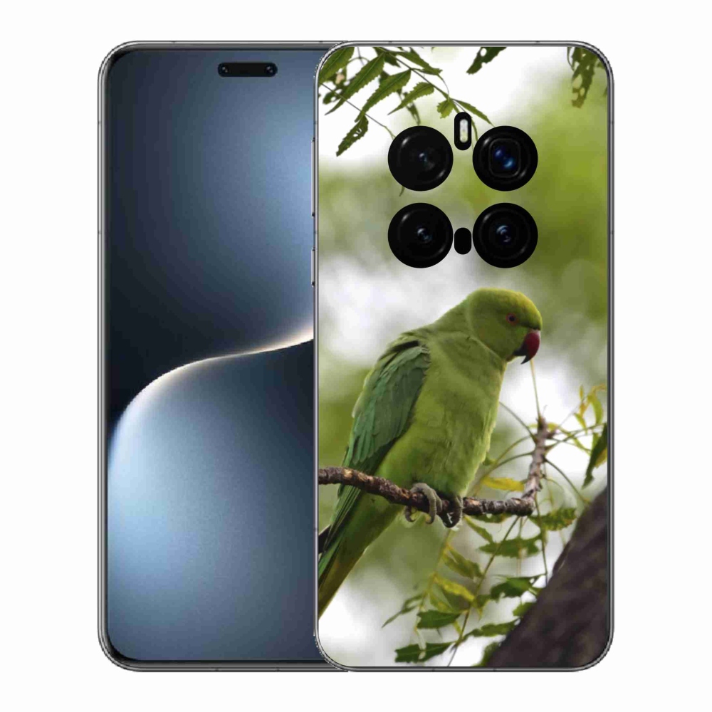 Zselés borítás mmCase a Honor Magic 7 Pro 5G készülékhez - zöld papagáj