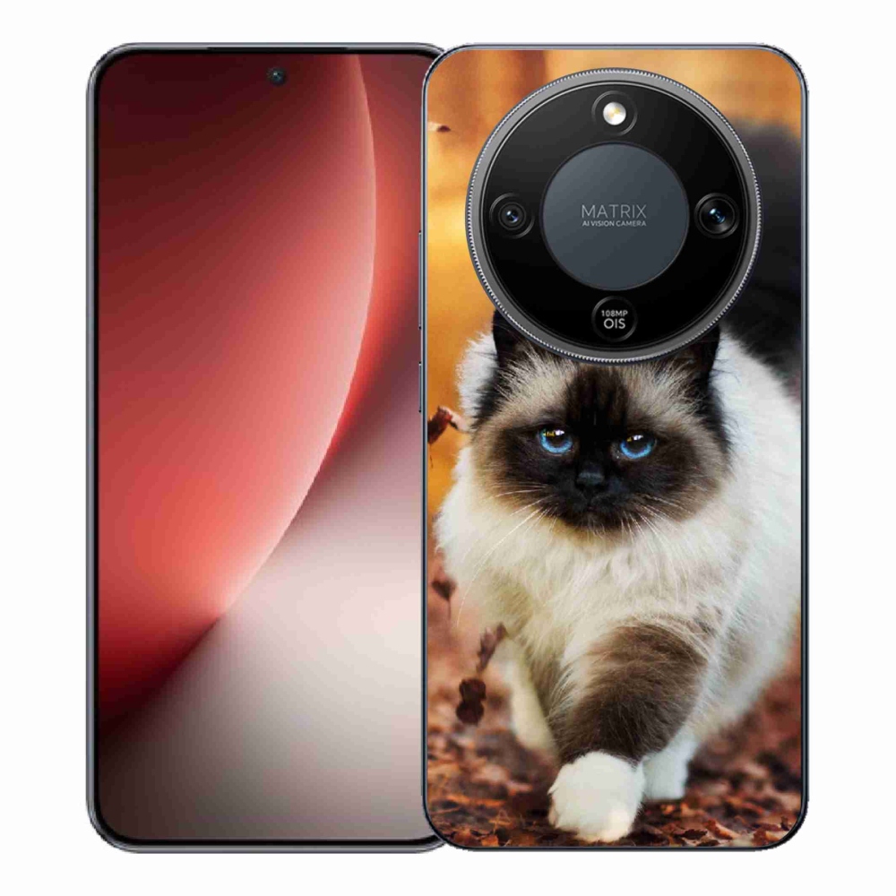 Zselés borítás mmCase a Honor Magic 8 Lite 5G készülékhez - macska