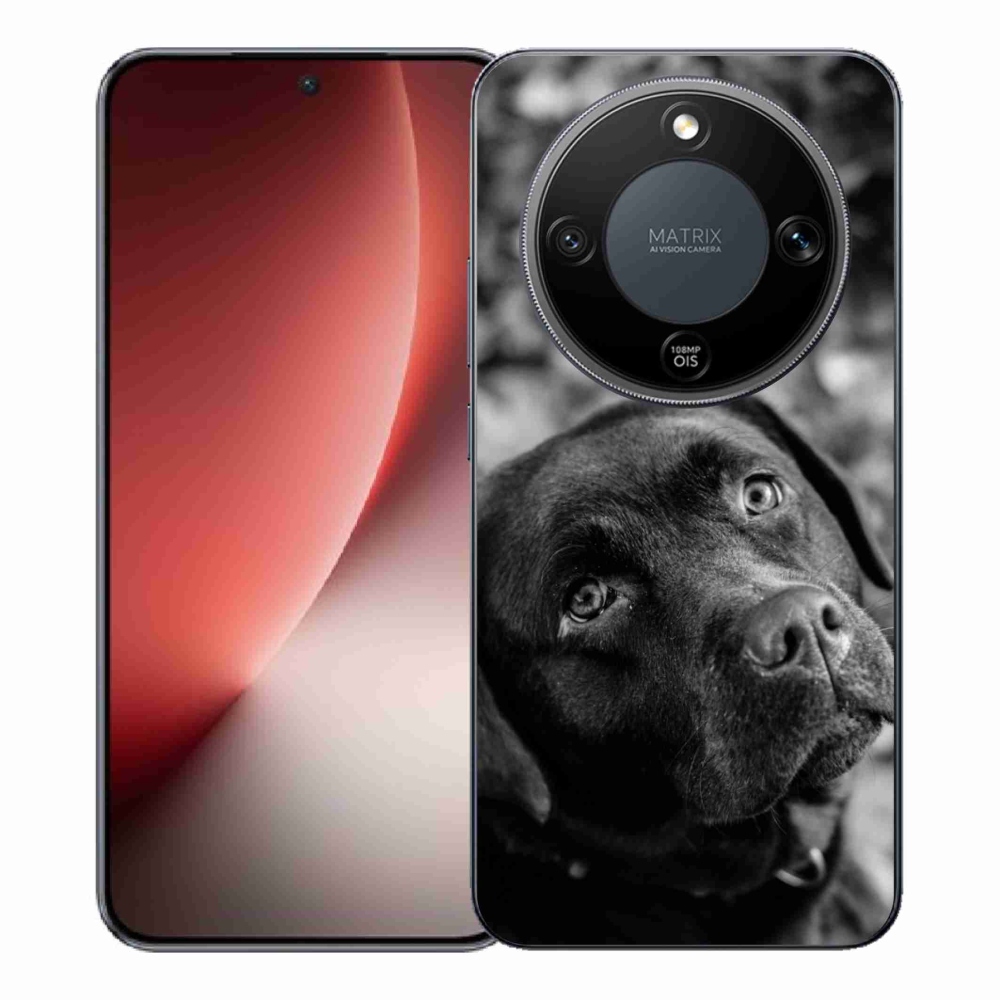 Gél borítás mmCase a Honor Magic 8 Lite 5G készülékhez - labrador