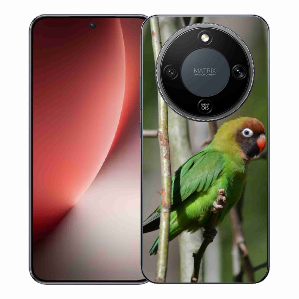 Gél borítás mmCase a Honor Magic 8 Lite 5G számára - papagáj agapornis