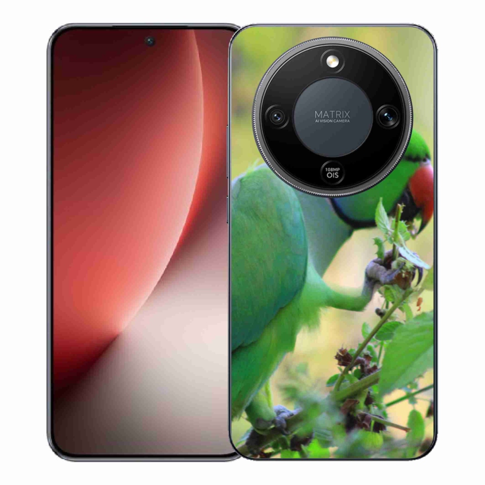 Zselés borítás mmCase a Honor Magic 8 Lite 5G számára - papagáj alexandr