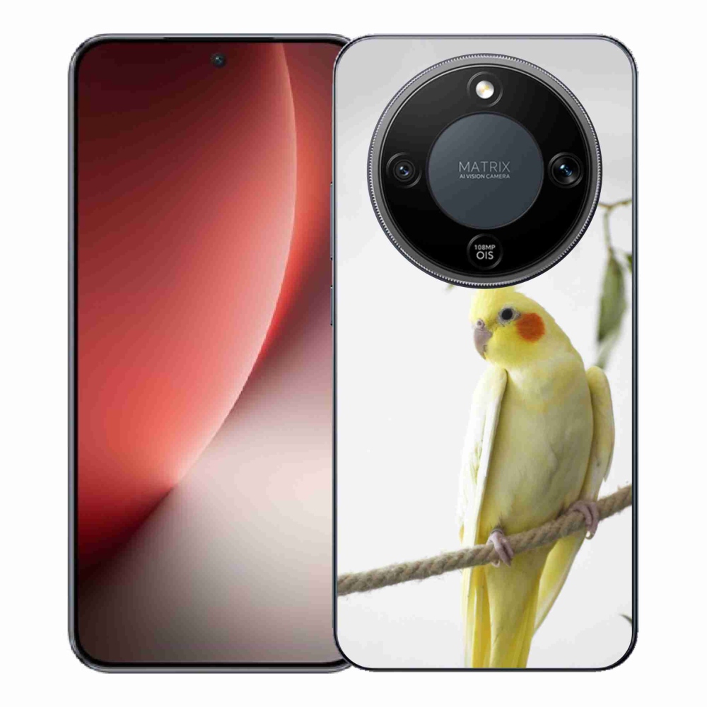 mmCase géltok az Honor Magic 8 Lite 5G-hez – tollas papagáj
