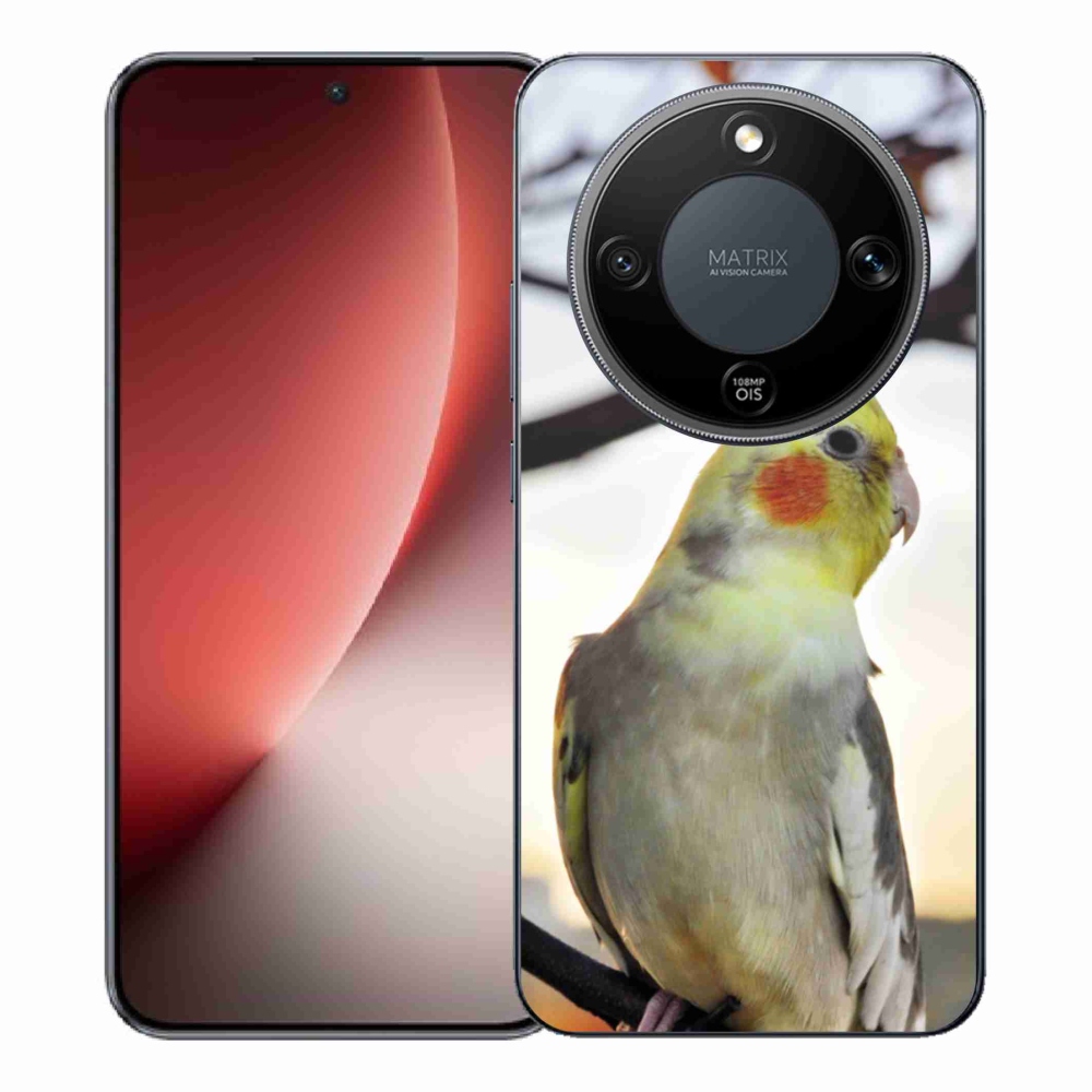 Gél borítás mmCase a Honor Magic 8 Lite 5G számára - papagáj korela