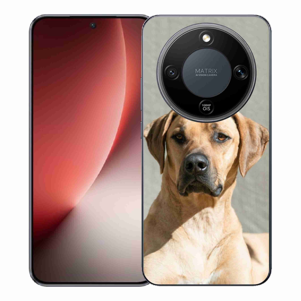 Gél borítás mmCase a Honor Magic 8 Lite 5G számára - ridgeback