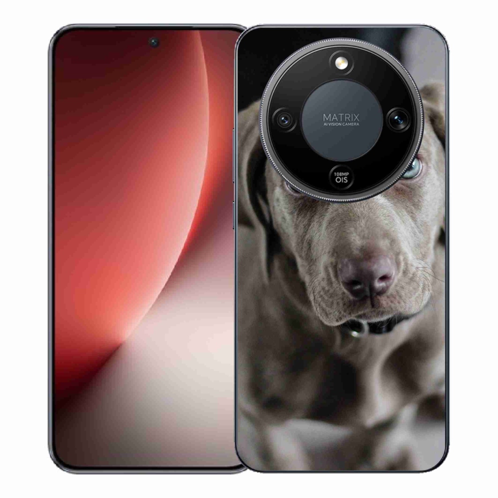 Gél borítás mmCase a Honor Magic 8 Lite 5G számára - a nemes kopó