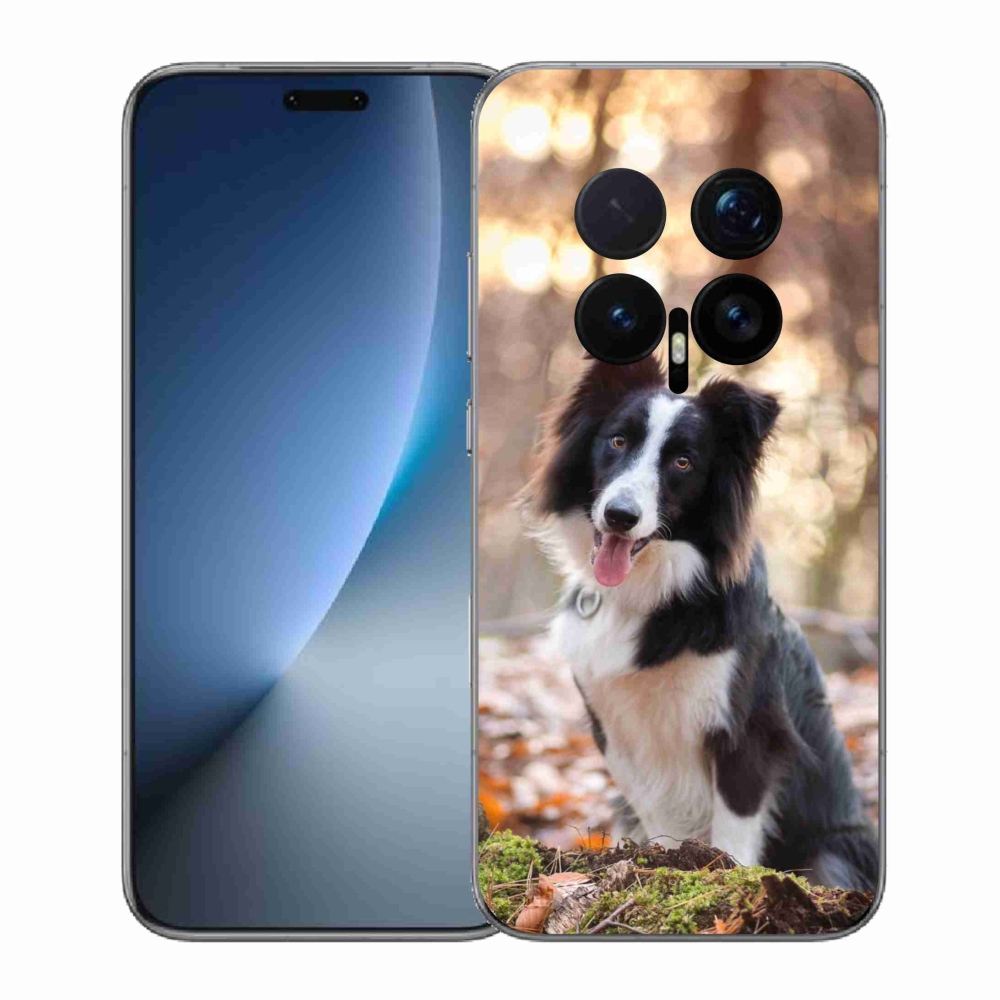 Zselés borítás mmCase a Honor Magic 8 Pro készülékhez - border collie 1