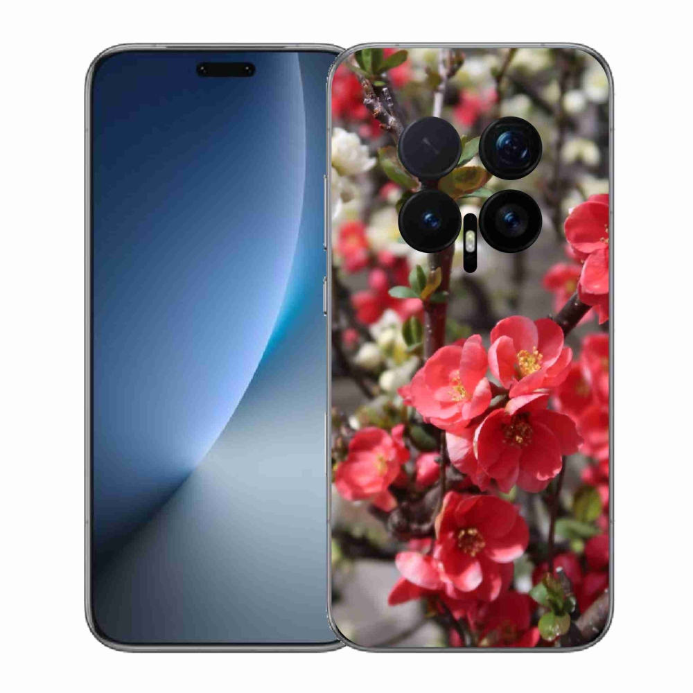 Zselés borítás mmCase a Honor Magic 8 Pro-hoz - piros virágok