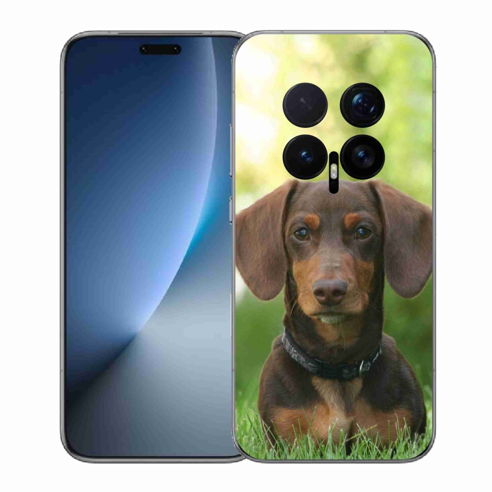 Zselés borítás mmCase a Honor Magic 8 Pro készülékhez - barna tacskó