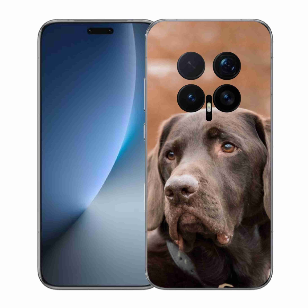 Zselés borítás mmCase a Honor Magic 8 Pro-hoz - barna labrador
