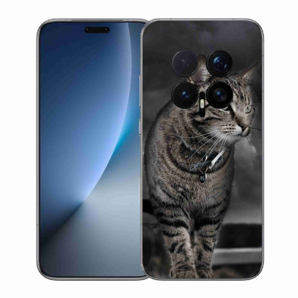 Zselés borítás mmCase a Honor Magic 8 Pro-hoz - macska