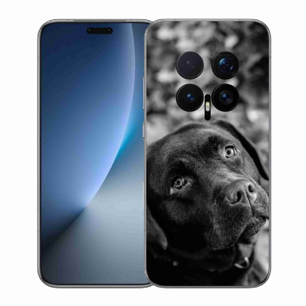 Gél borítás mmCase a Honor Magic 8 Pro készülékhez - labrador