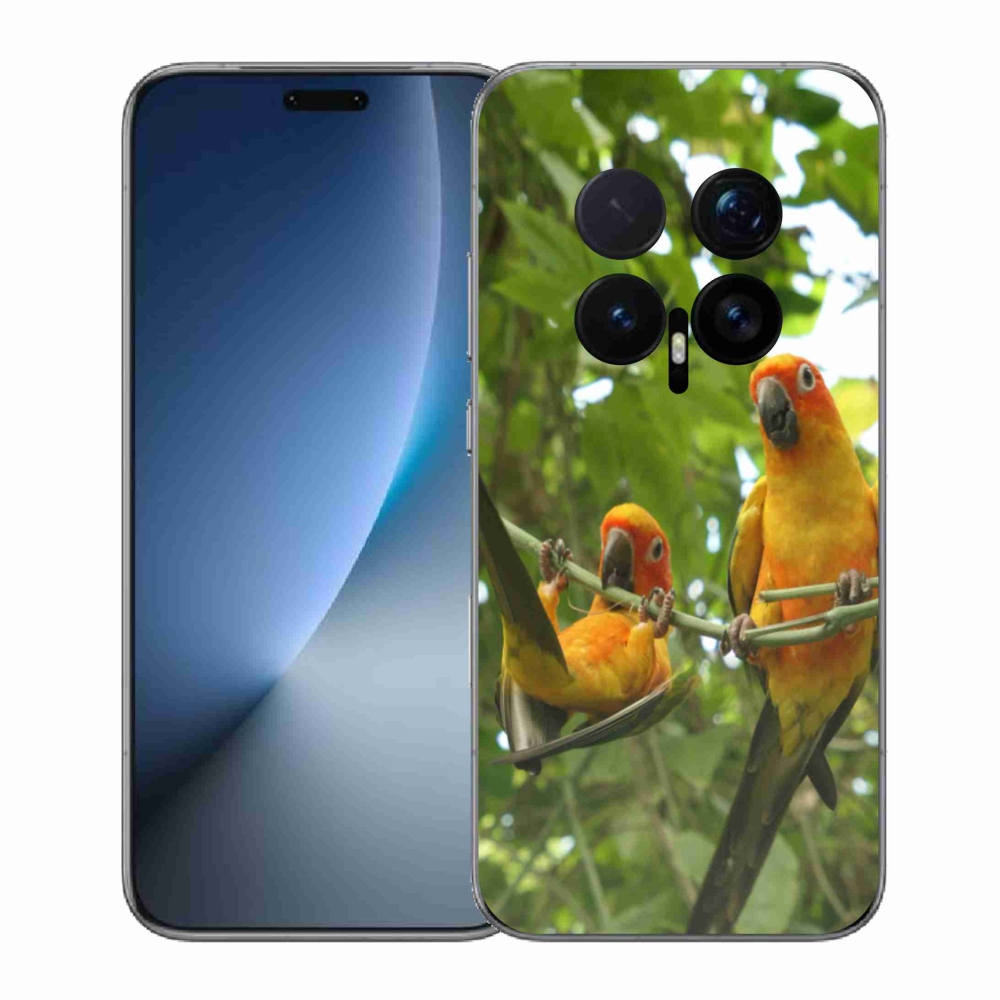 Zselés borítás mmCase a Honor Magic 8 Pro-hoz - papagájok aratingy
