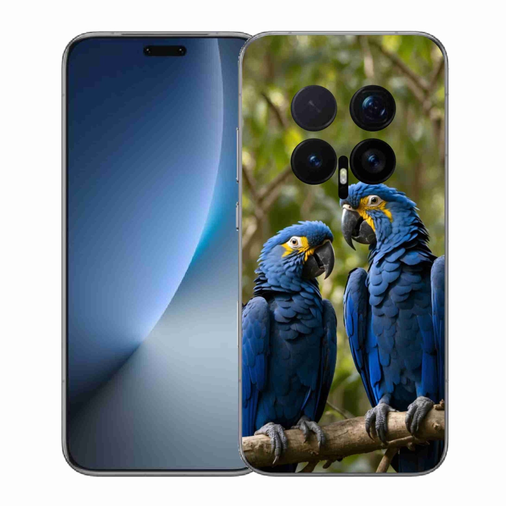 mmCase géltok az Honor Magic 8 Pro-hoz – papagáj-duó
