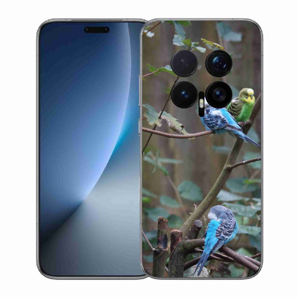 mmCase gél tok az Honor Magic 8 Pro-hoz – papagájok egy ágon