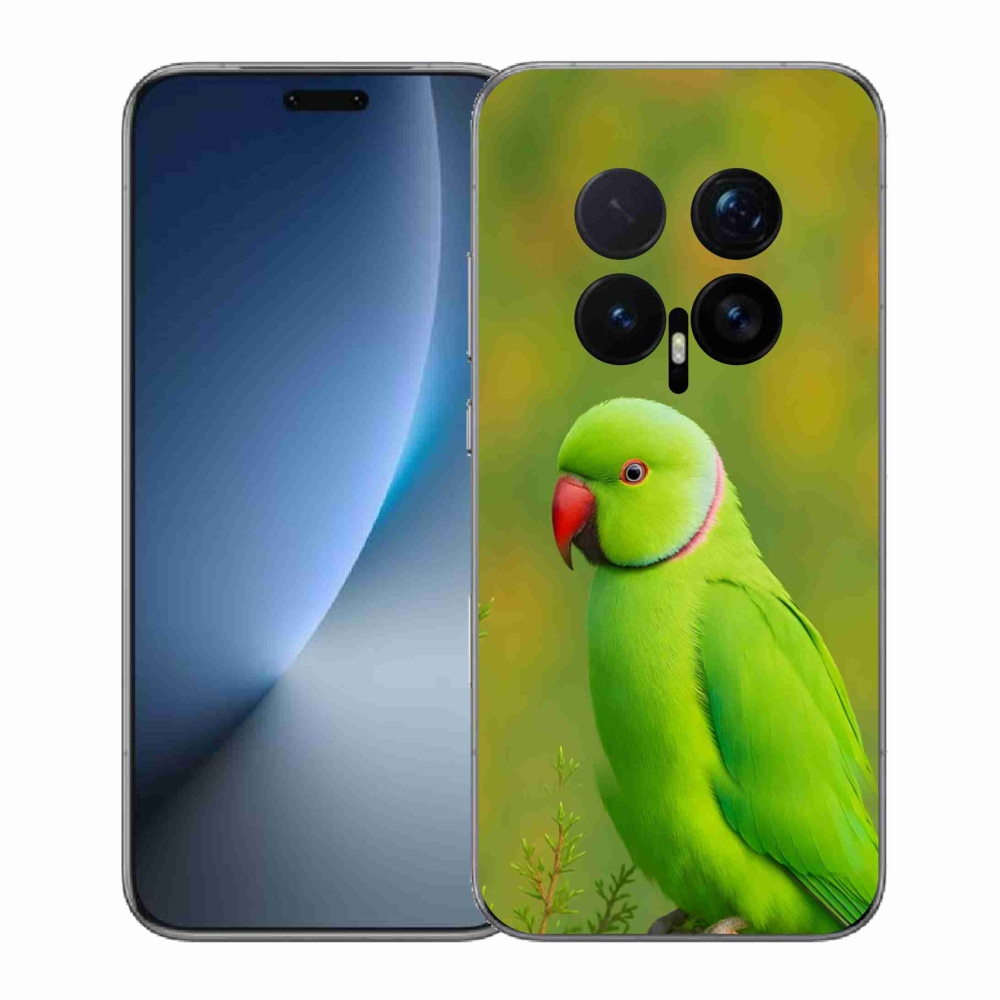 Zselés borítás mmCase a Honor Magic 8 Pro készülékhez - papagáj alexander 2