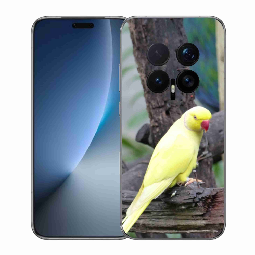 Zselés borítás mmCase a Honor Magic 8 Pro készülékhez - papagáj alexander sárga