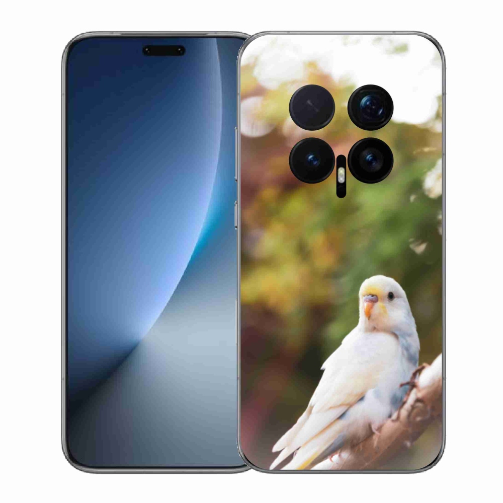 Zselés borítás mmCase a Honor Magic 8 Pro készülékhez - papagáj andulka fehér