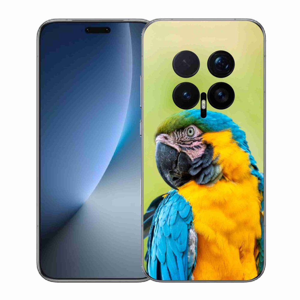 Zselés borítás mmCase a Honor Magic 8 Pro-hoz - papagáj ara 2