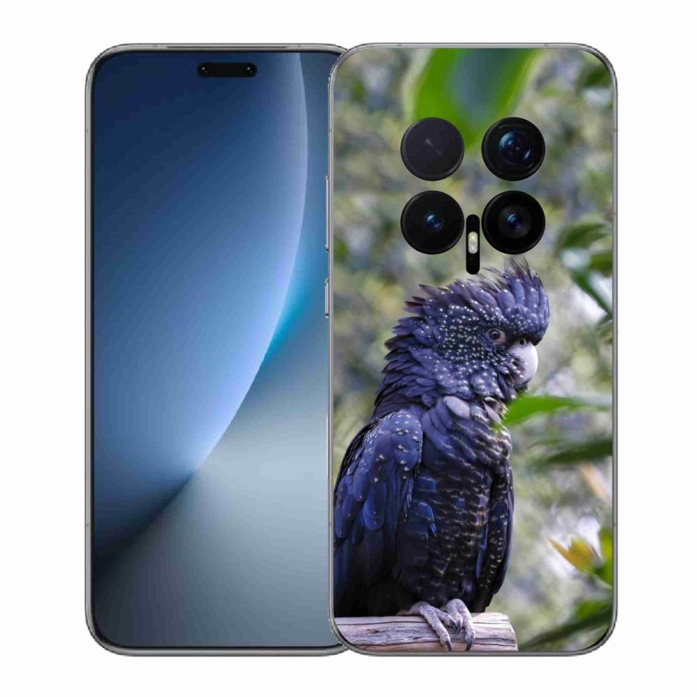 mmCase gél tok az Honor Magic 8 Pro-hoz – fekete kakadu papagáj