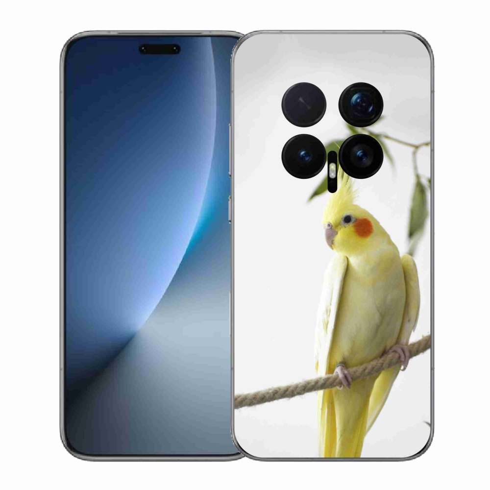 mmCase géltok az Honor Magic 8 Pro-hoz – tollas papagáj