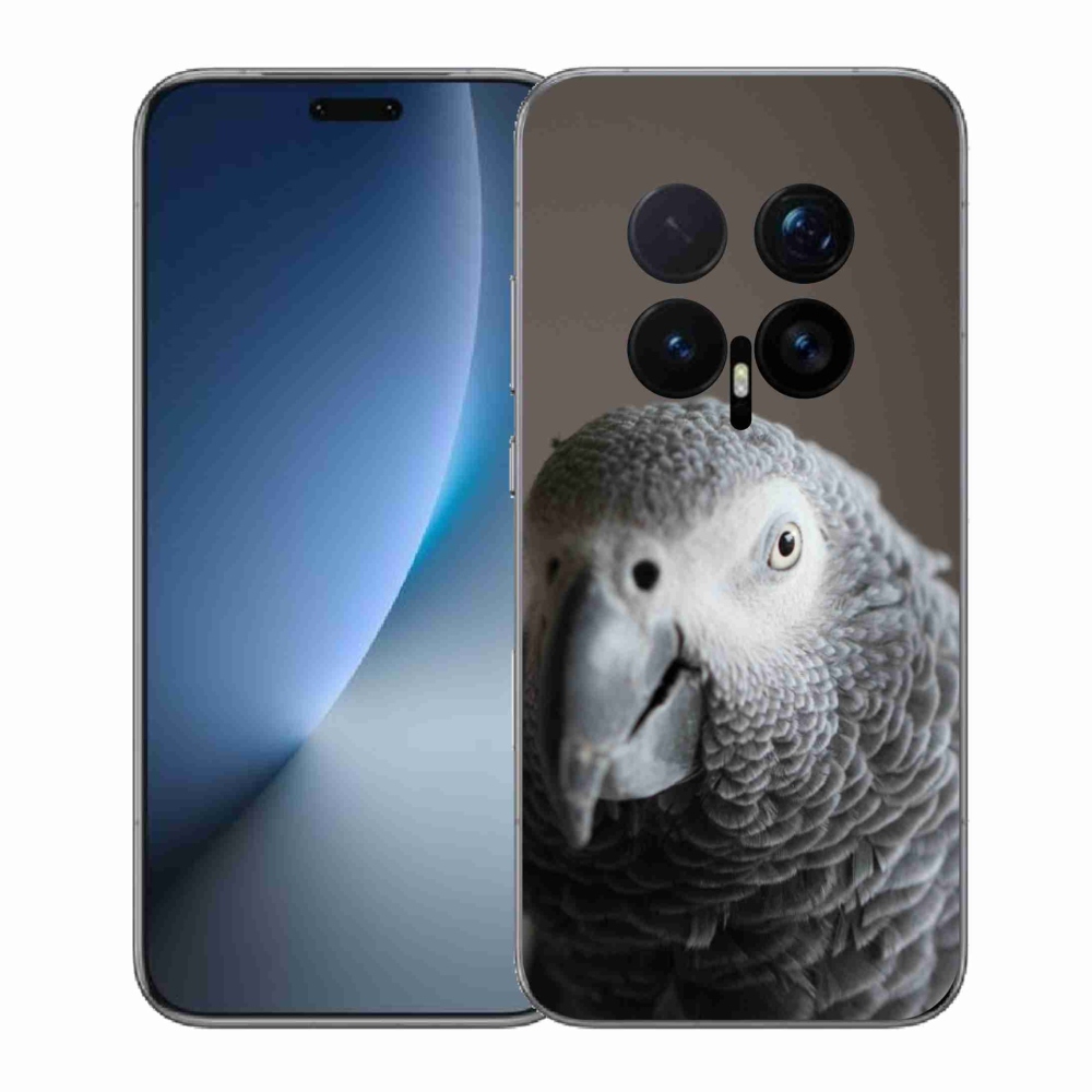 Zselés borítás mmCase a Honor Magic 8 Pro készülékhez - papagáj jacko 2