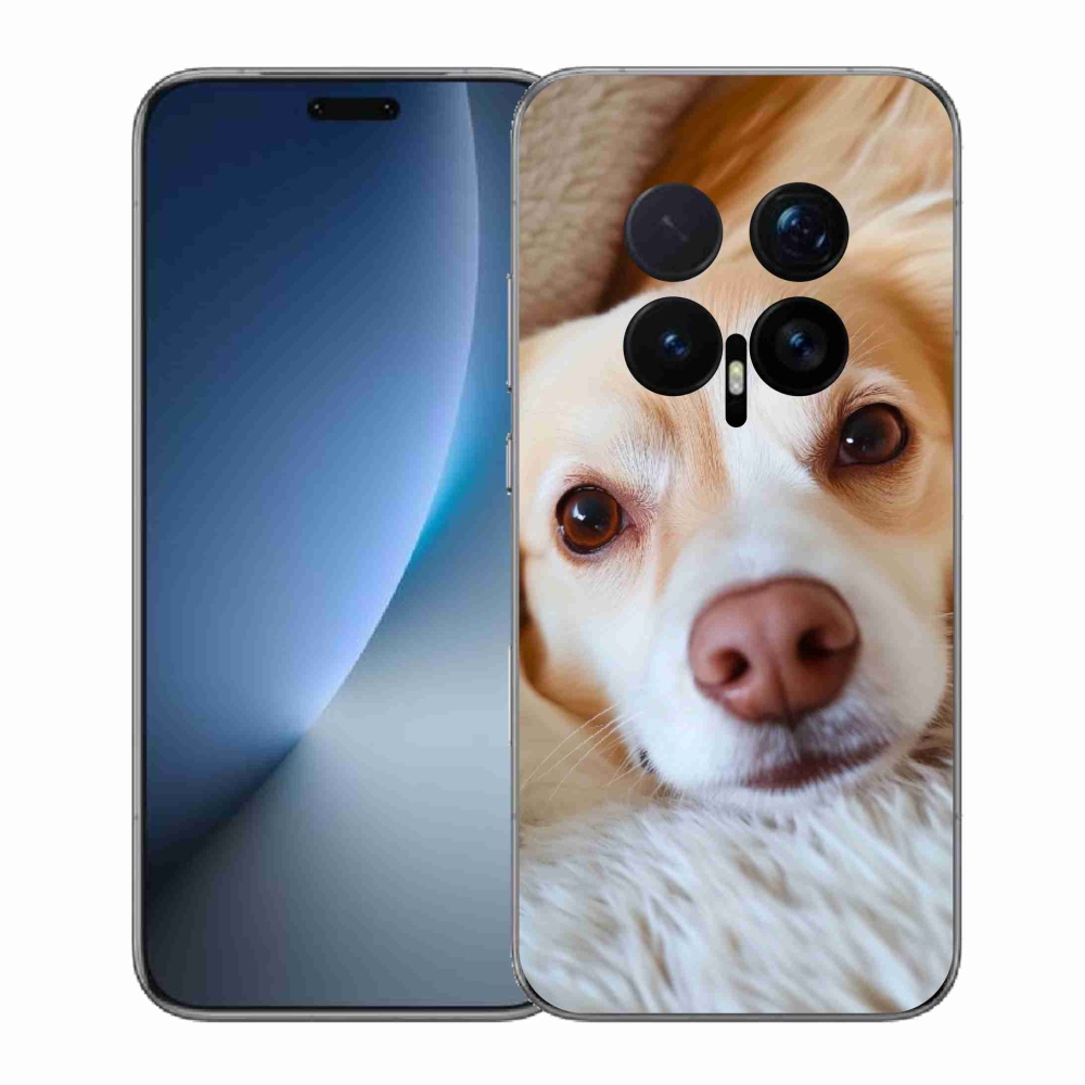 mmCase gél tok az Honor Magic 8 Pro-hoz – Aranyos csivava