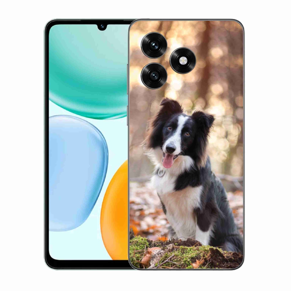 Zselés borítás mmCase a Honor X5c Plus számára - border colie 1