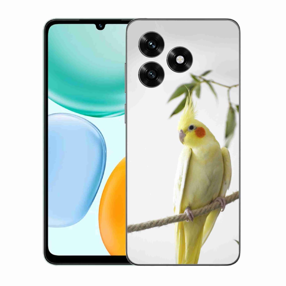 mmCase géltok az Honor X5c Plus-hoz – tollas papagáj