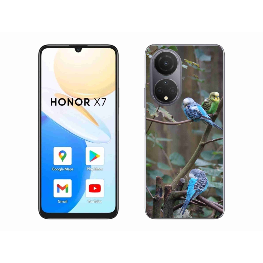 Gél borító mmCase a Honor X7-hez - papagájok az ágon