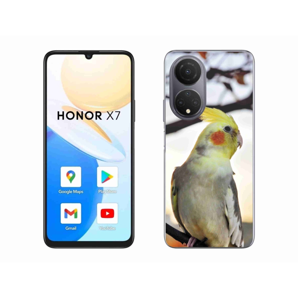 Zselés borítás mmCase a Honor X7-hez - papagáj korela