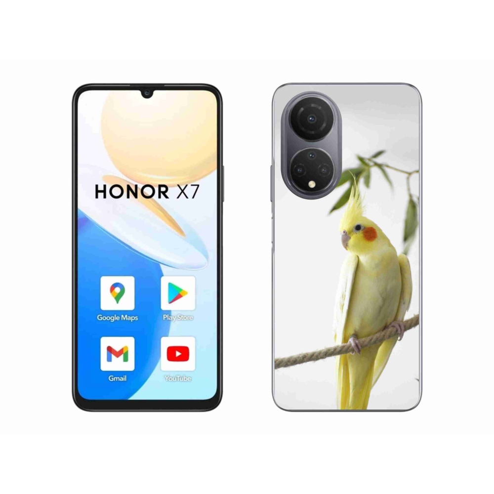 Gél borítás mmCase a Honor X7-hez - papagáj korela chocholatá