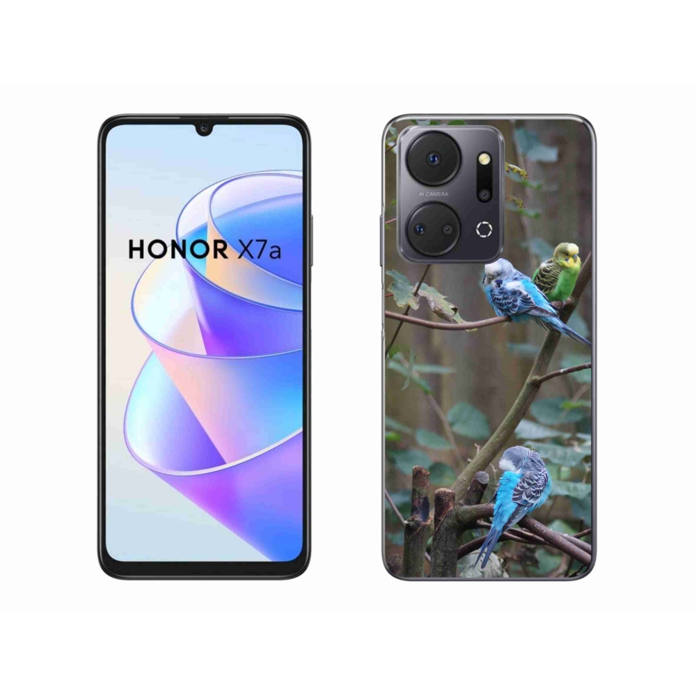 Gél borító mmCase a Honor X7a számára - papagájok az ágon